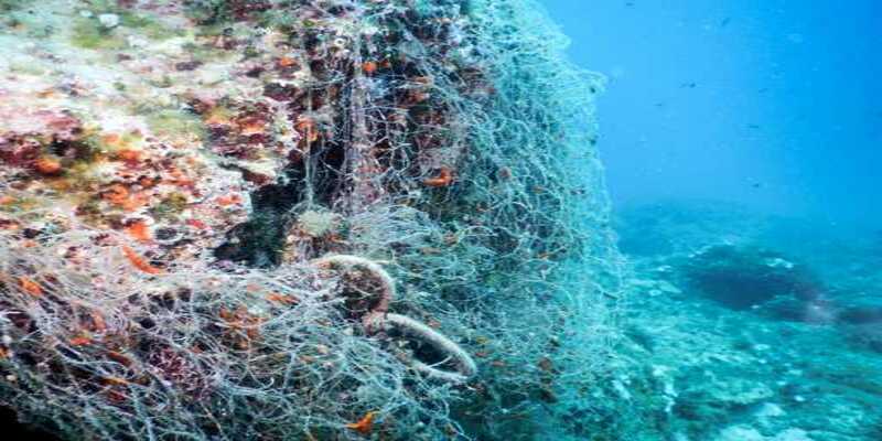 Seabed conditions, ph. Angelo Cossa