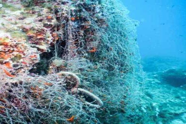 Castro, Italy: seabed condition