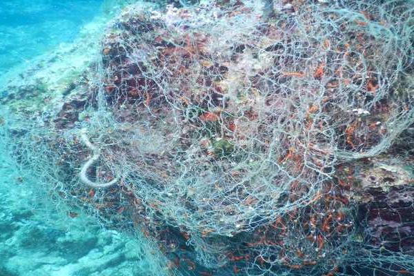 Castro, Italy: seabed condition